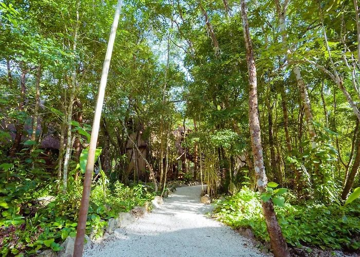 Madre Tierra Eco Habitat *