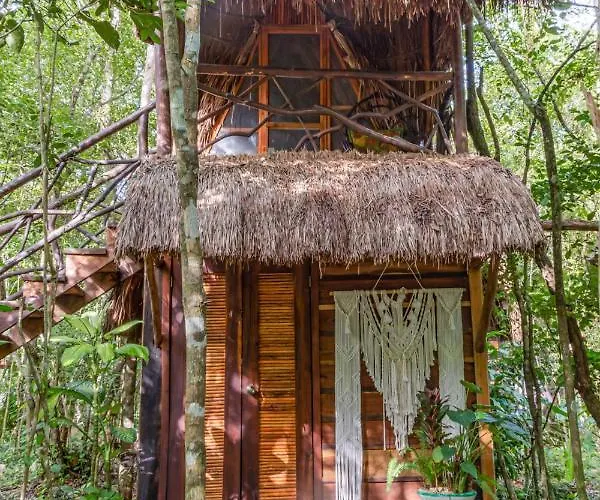 Madre Tierra Eco Habitat *
