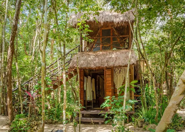 Madre Tierra Eco Habitat Puerto Morelos